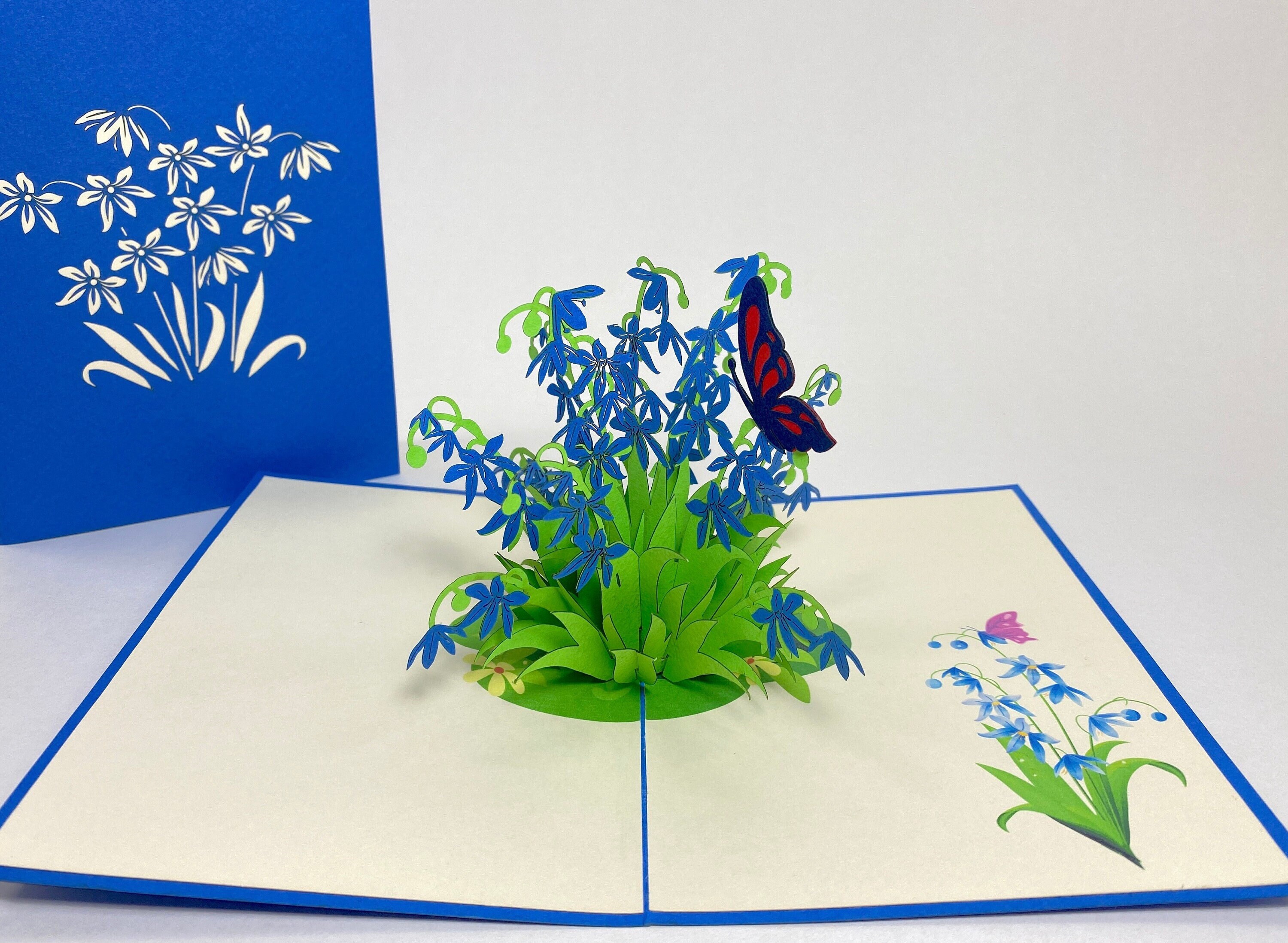 Alpine Squill - Scilla with Butterfly Pop Up Birthday Card- 3D Blue Flower Birthday Card- Friendship Card-Thinking of You Card-Get Well Card