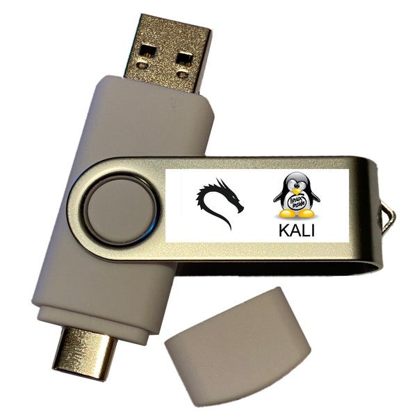 "Linux Kali Betrieb System Boot-fähige ""Boot-Recovery"" Live USB-C Flash-Stick installieren - Ethisches Hacken und mehr."