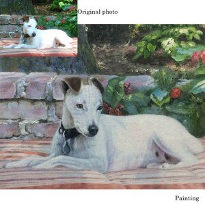 Custom Dog /Cat Portrait, Hand Painted Dog/Pet Oil Painting, Pet Memorial Portrait, Pet Loss Gift,Commission pet portrait，Animal Painting