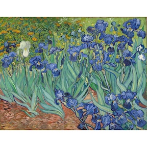 Vincent van Gogh&#39;s Irises -Hand Painted Oil Painting Reproductions