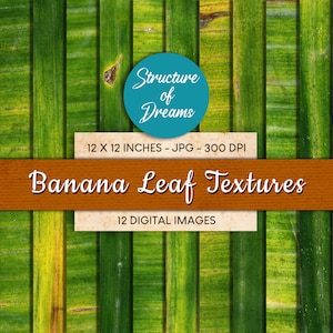 May include: A set of 12 digital images featuring close-up textures of green banana leaves. The images are 12 inches by 12 inches and 300 DPI. The text "Structure of Dreams" and "Banana Leaf Textures" is visible in the image.