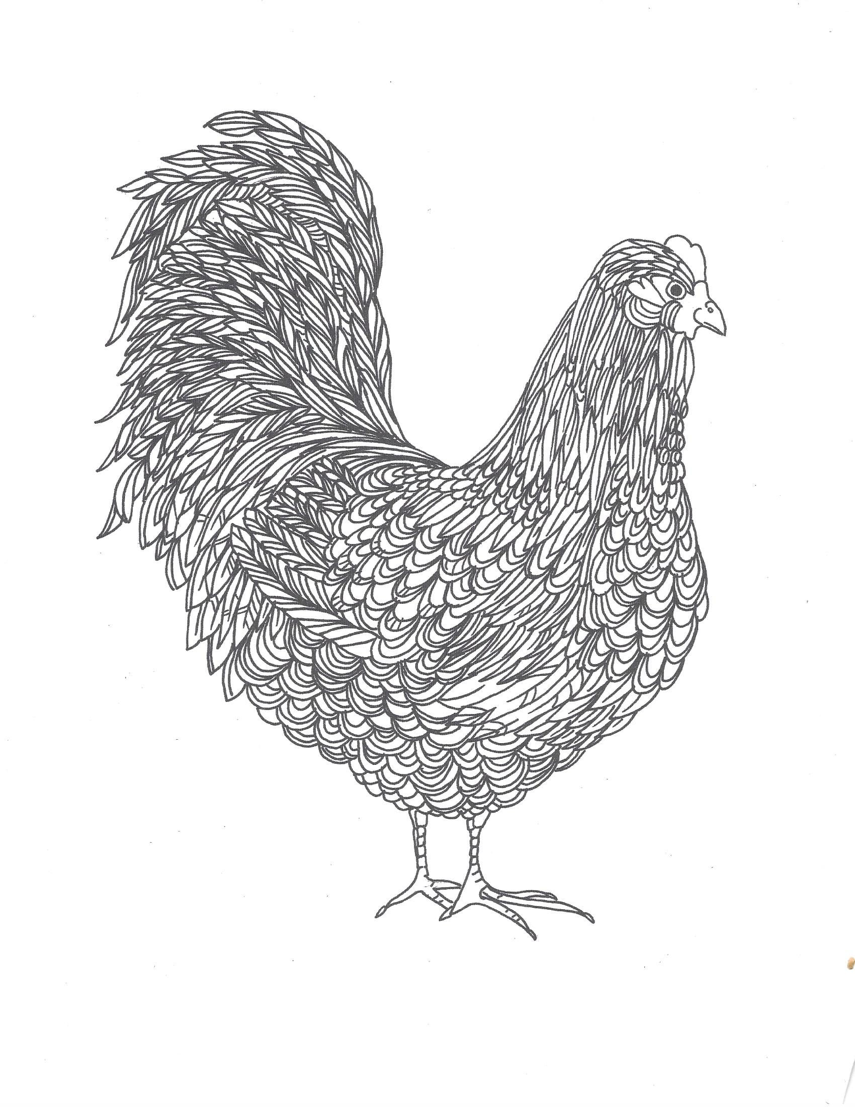 Silkie Chicken Coloring Pages