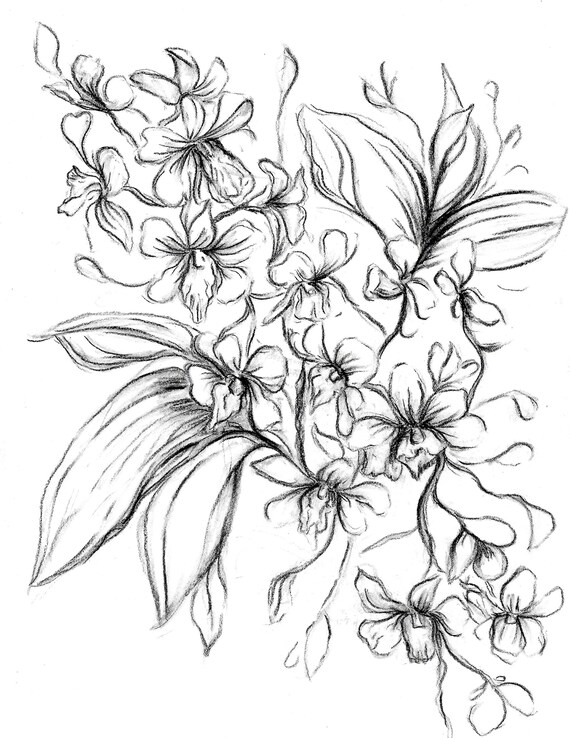 Instant Digital Download/ Orchid coloring printable/ Orchid Etsy
