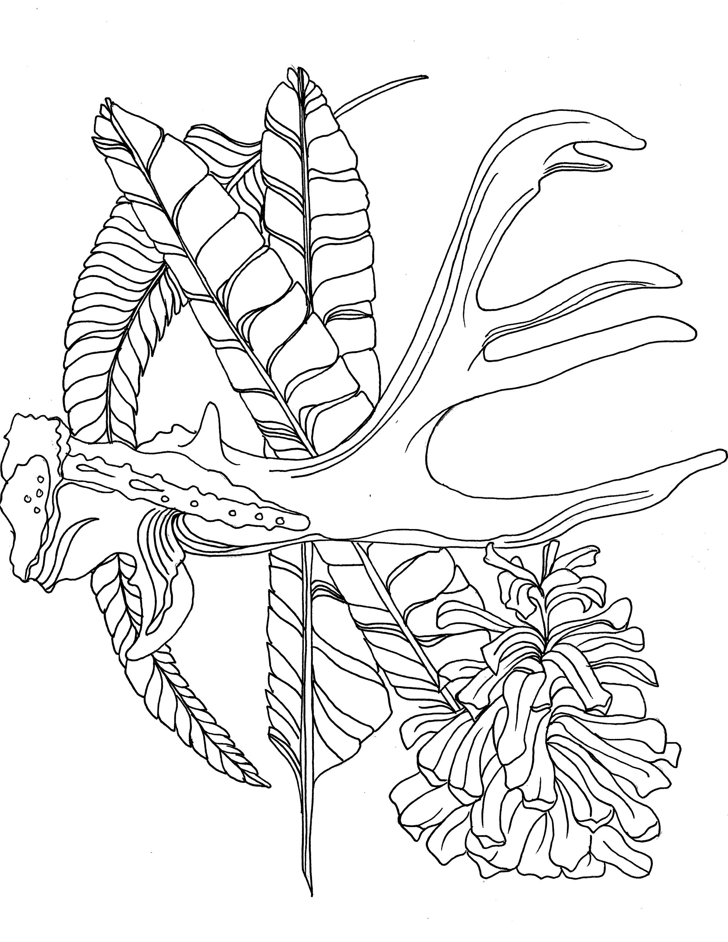 Rustic Adult Coloring Pages Coloring Pages