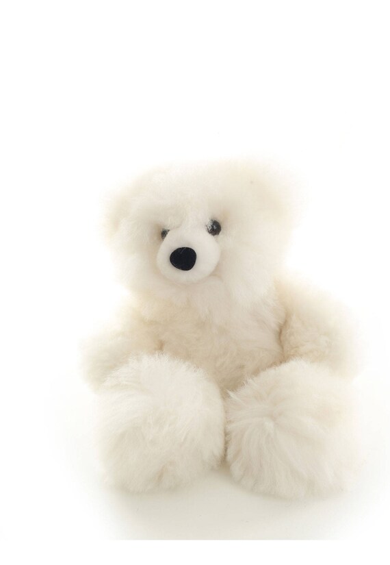 white small teddy bear