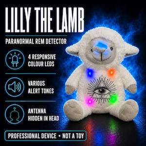 REM BEAR! sheep Lilly the lamb sensor teddy bear toy for paranormal ghost hunting investigations vigil equipment spirit detector Welsh Wales