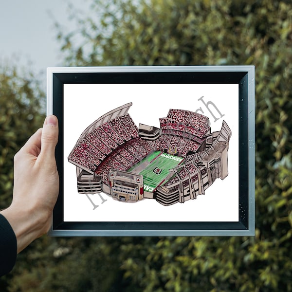 Willy B Stadium- University of South Carolina Collage Print