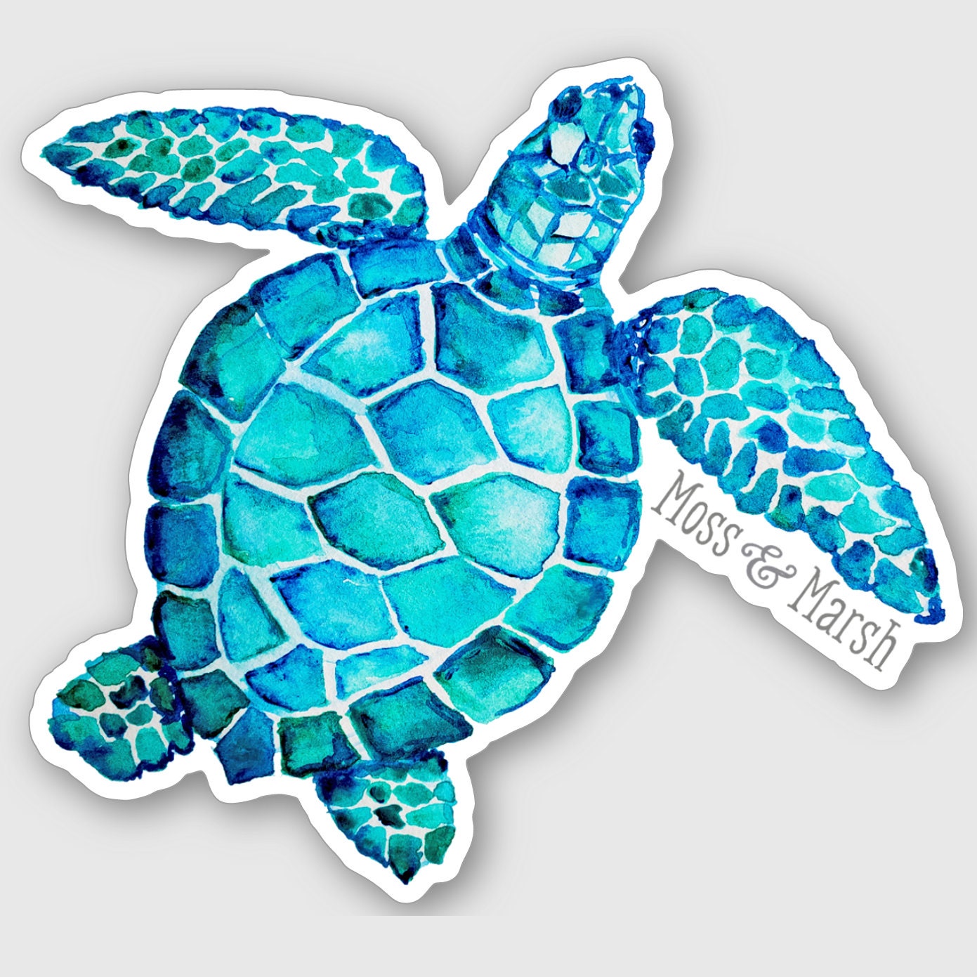 Turtle Sticjer Turtle Sticker - Etsy