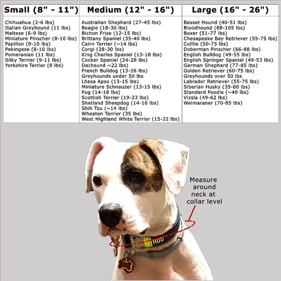 firefighter dog collar personalized