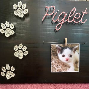 May include: A black wooden board with the name "Piglet" spelled out in pink string. There are four white string paw prints and a photo of a black and white kitten is hanging from a string with a clothespin.