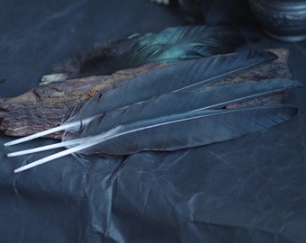 Black raven feathers, crow feathers, magic,  witchcraft tools