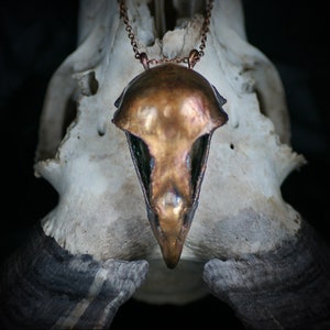 Halloween present_real Hawk skull pendant_copper-plated_electroformed_black patina_samhain necklace_unisex gotik jewelry_witch jewelry_OOAK