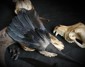 Raven, crow  feathers smudge fan_witchcraft_shaman_wiccan_pagan_altar tools