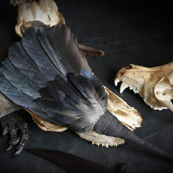 Raven, crow  feathers smudge fan_witchcraft_shaman_wiccan_pagan_altar tools