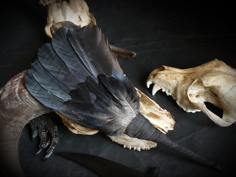 Puede incluir: Un abanico de plumas negras con un mango negro, descansando sobre un cr&aacute;neo de animal blanco y un cr&aacute;neo de animal marr&oacute;n. El abanico est&aacute; hecho de plumas naturales y tiene un mango largo y delgado.
