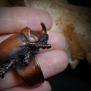 Real bug ring_rhinoceros beetle copper plated_electroformed dynastinae insect_electroforming_electroplated_witchy present_geekery gift_OOAK