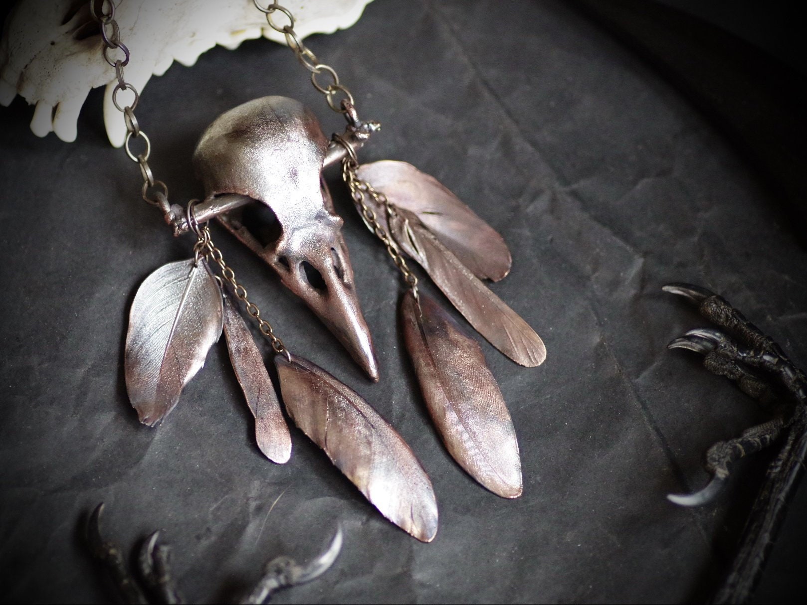 Real bird skull necklace deals