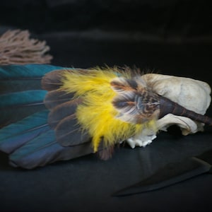 Puede incluir: Un abanico decorativo hecho de plumas, con un esquema de color azul, amarillo y marrón. El abanico está unido a una pequeña calavera blanca.