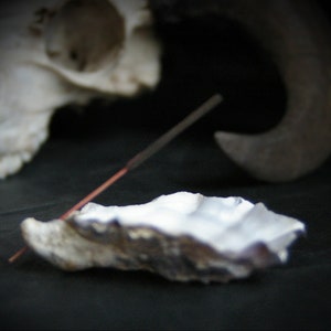 Incense stick holder from real oyster shell, incense burner, tools for altar, magick work,  meditation incense holder