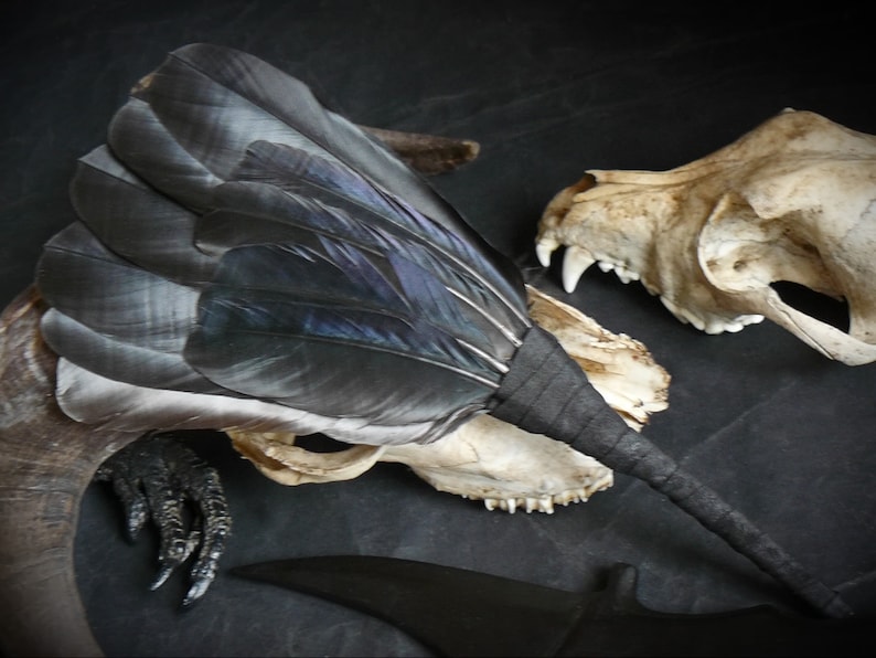 Puede incluir: Un abanico de plumas negras con un mango negro. El abanico est&aacute; sobre dos cr&aacute;neos de animales.