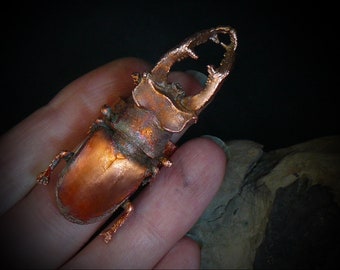 Real bug ring_real stag beetle copper plated_electroformed insect_electroforming_copper plated_witchy present_geekery gift_OOAK