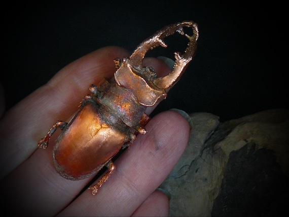 A stag beetle electroformed directly in copper and shaped into a wearable ring — 443 favorites confirms people are genuinely obsessed with this.