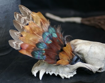 Pheasant, rooster feathers smudge fan_witchcraft_shaman_wiccan_pagan_altar tools