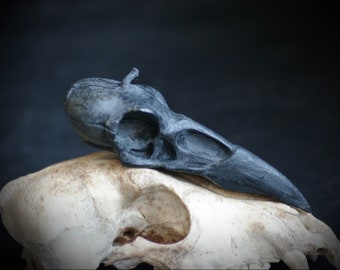 Black Raven Skull Candle: Beeswax Witchcraft Spell Candle