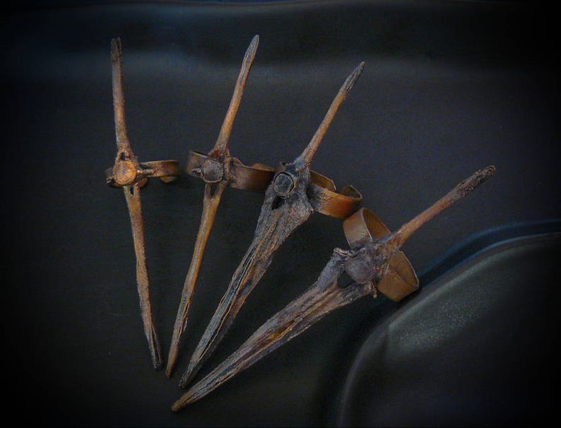 Set Rings_ Inspired_elecroformed Fish Bones_thorns Etsy