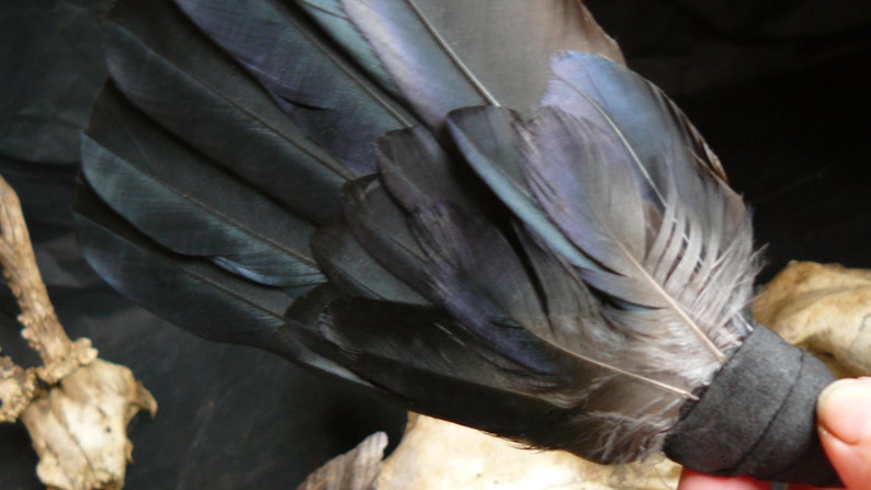 Puede incluir: Un abanico de plumas negras con una banda gris oscuro en la base. Las plumas est&aacute;n dispuestas en forma de abanico y tienen un ligero brillo iridiscente.