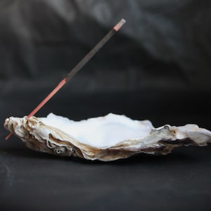 Incense stick holder from real oyster shell, incense burner, tools for altar, magick work,  meditation incense holder