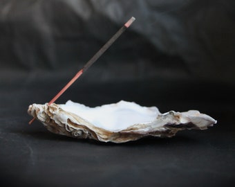 Incense stick holder from real oyster shell, incense burner, tools for altar, magick work,  meditation incense holder