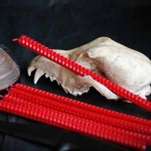 Red Beeswax Spell Candles: Ritual Ceremony Tools, Set of 5