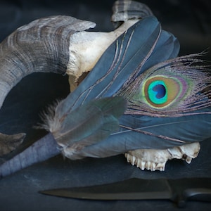 Raven, crow, duck and peacock feathers smudge fan_witchcraft_shaman_wiccan_pagan_altar tools