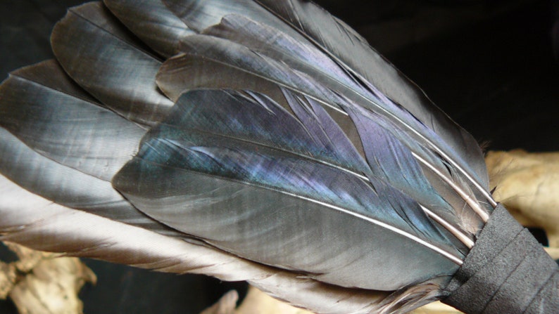 Puede incluir: Un abanico hecho de plumas gris oscuro con una correa de cuero negro. Las plumas tienen un ligero brillo iridiscente.