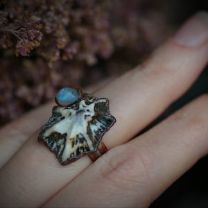 Witchcraft rings with sea shells and blue labradorite, electroforming, copper electroform, witch jewelry, witchcraft ring, amulet rings