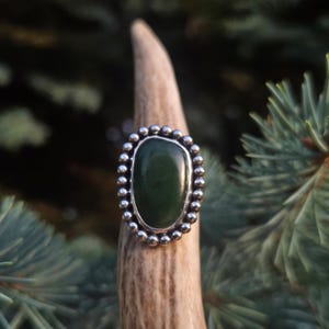 May include: A silver ring with a large, oval, dark green stone. The stone is surrounded by a beaded silver border. The ring is displayed on a light brown antler against a blurred green background of foliage.