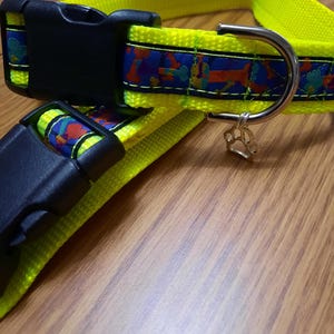 Adjustable Neon Green Collar