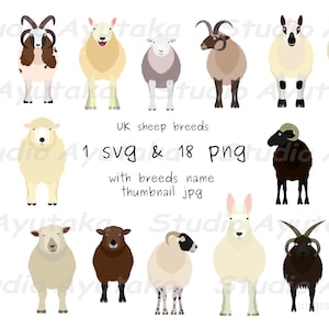 18 britische Schafrassen im Bundle, SVG, PNG, JPG, Illustration, digitale Zeichnung, handgefertigt