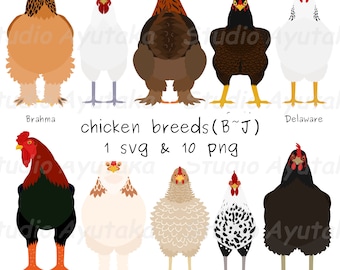Set of Chickens (Breeds from B to J), svg, png, illustration, digital drawing, handmade
