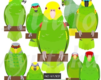 10 einzigartige Illustrationen von Amazonenpapageien (PNG, EPS, PDF)