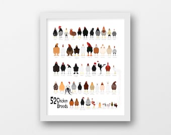 52 Breeds of Chicken Digital Chart, svg, jpg, png, 16*20''