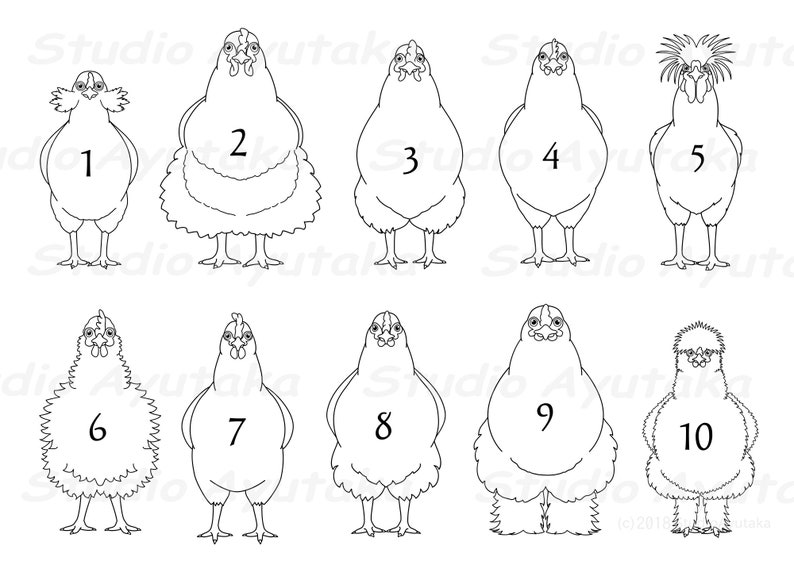 Chicken Board Line Chickens Line Art Bundle, Svg, Pdf, Ai, Png - Etsy
