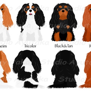Cavalier dog color variations bundle, png, pdf, ai 画像 2