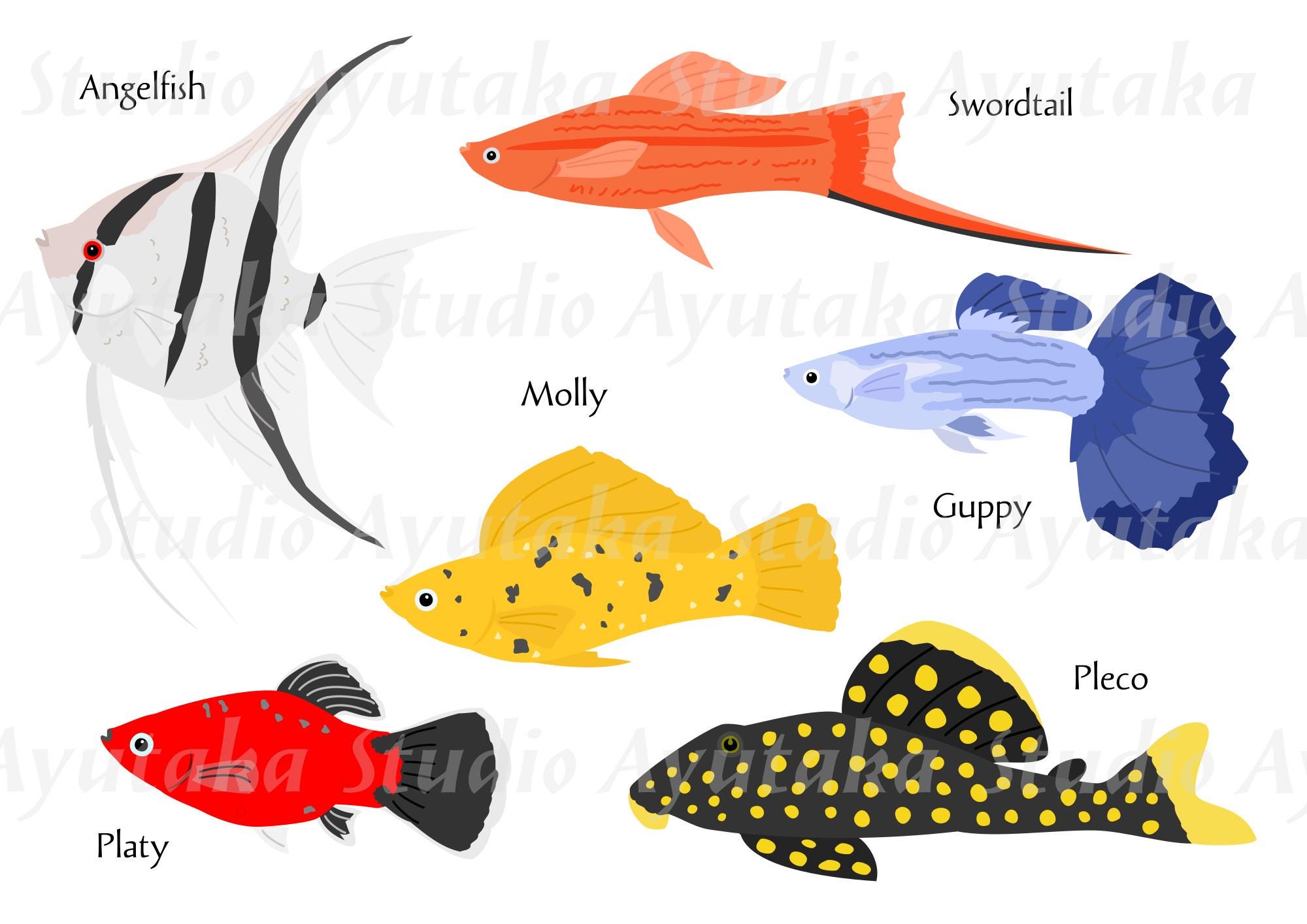 Flesh Water Tropical Pet Fishes Bundle, Ai, Pdf, Png, Illustration