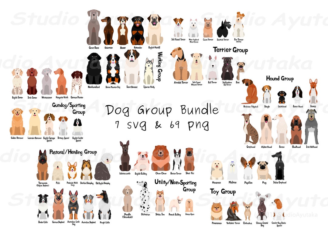 7 Groups of 69 Dogs Big Bundle, Svg, Png Etsy