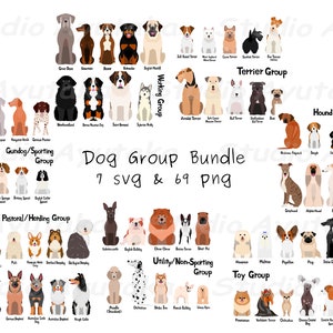 7 groups of 69 dogs big bundle, svg, png