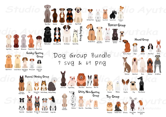 Dogs 7 hot sale