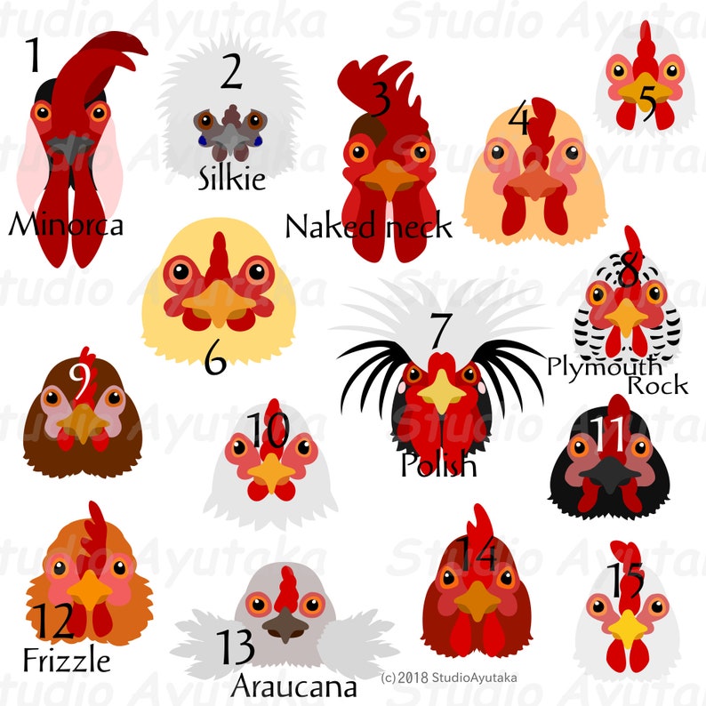15 Chicken Heads Bundle Ai Pdf Png Etsy