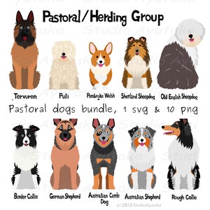 pastoral dogs bundle, svg, png, handmade, illustration, digital drawing